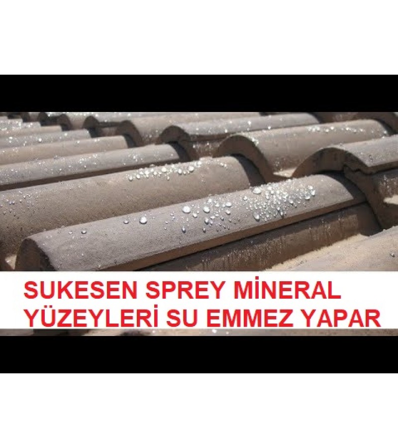 BARS SUKESEN / SPREY