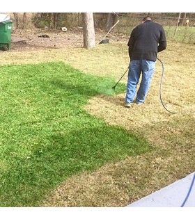 884 - BARS ÇİM BOYASI